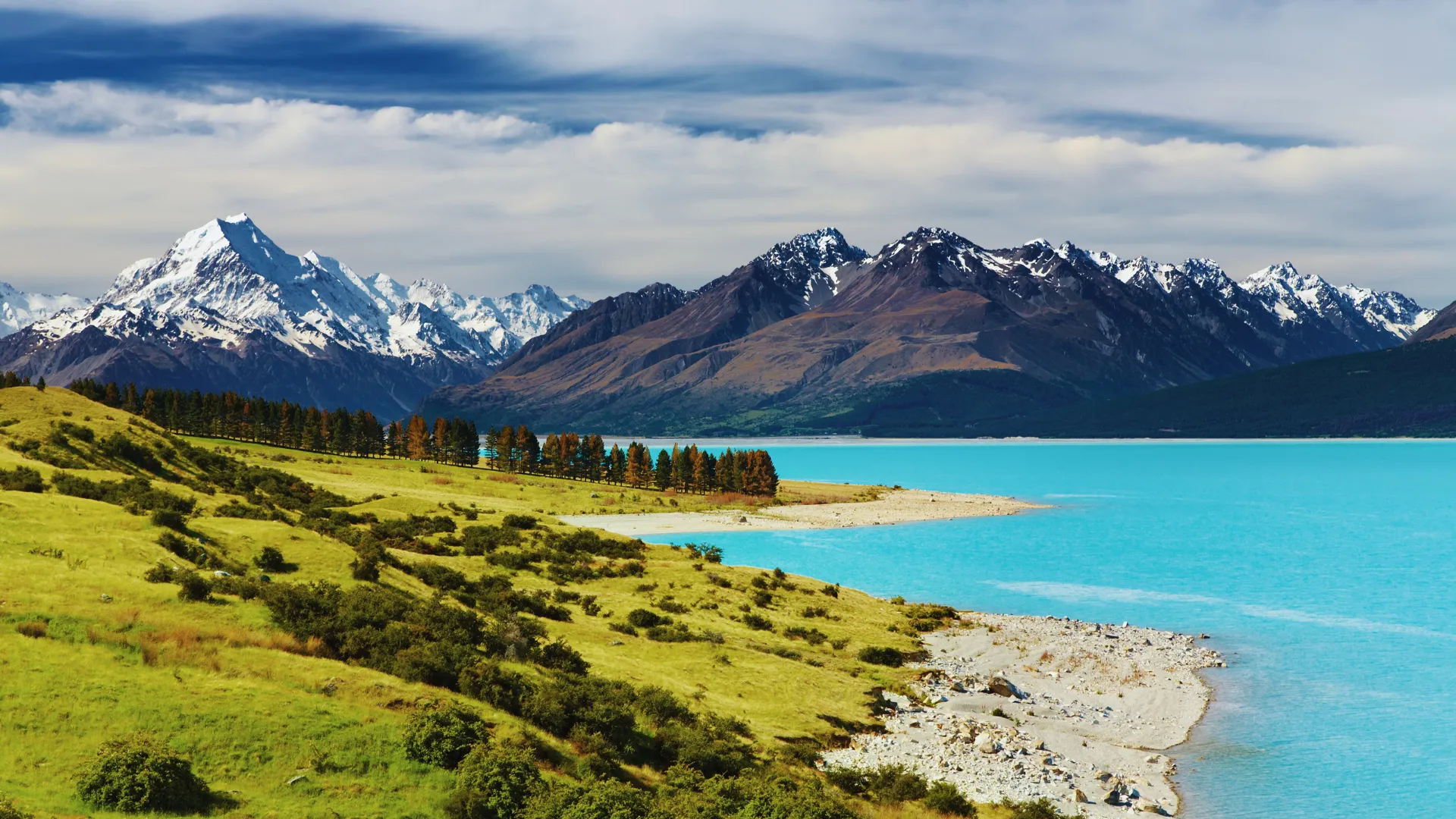 New Zealand_4